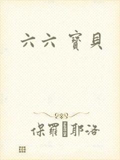 六六 宝贝