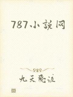 787小说网