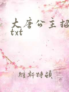 大唐公主招亲记txt