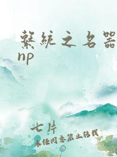 系统之名器攻略np