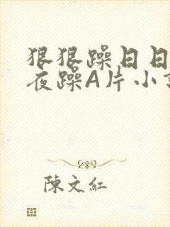 狠狠躁日日躁夜夜躁A片小说