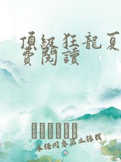 顶级狂龙夏天免费阅读