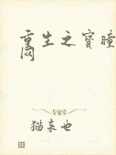 重生之宝瞳书书网