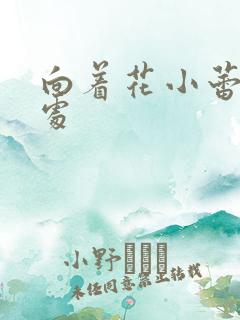 向着花小蕾的深处