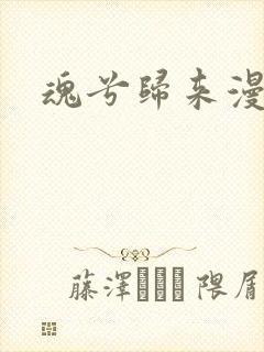 魂兮归来漫蒹葭