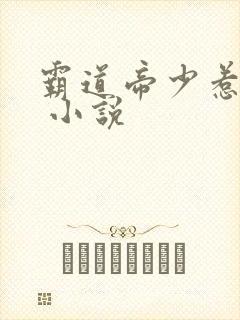 霸道帝少惹不得 小说