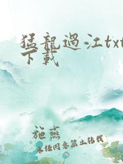 猛龙过江txt下载