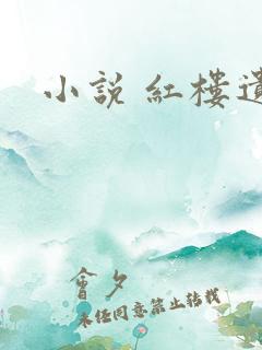 小说 红楼遗秘