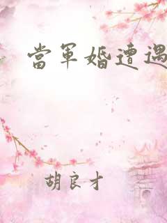 当军婚遭遇爱情