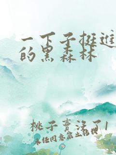 一下子挺进浓密的黑森林