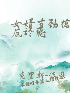 女婿有劲枪枪到底于飞