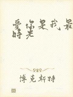 爱你是我最好的时光