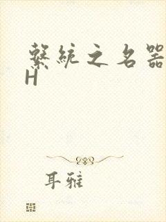 系统之名器勾男H