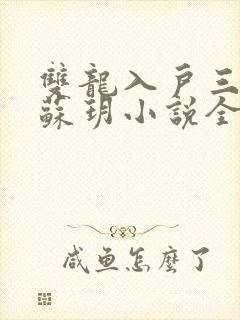 双龙入户三人行苏玥小说全文阅读