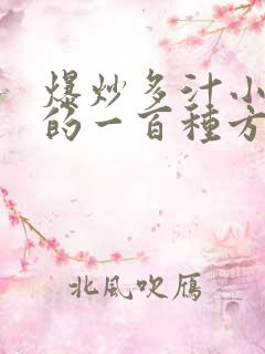 爆炒多汁小美人的一百种方法