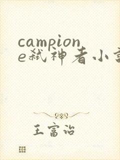 campione弑神者小说