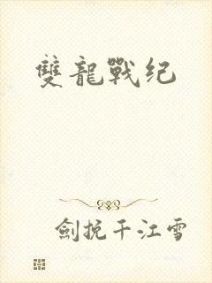 双龙战纪