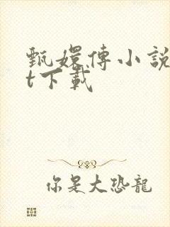 甄嬛传小说txt下载