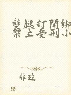 双腿打开绑在刑架上受刑小说