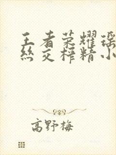 王者荣耀瑶足控丝交榨精小说