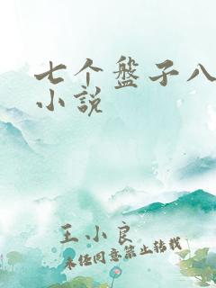 七个盘子八个碗小说