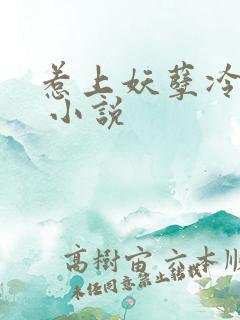 惹上妖孽冷殿下 小说