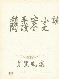 赵平安小说免费阅读全文