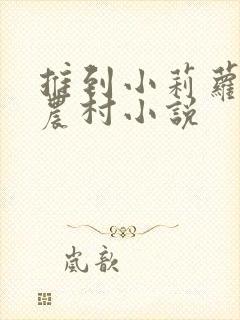 推到小莉萝稚嫩农村小说