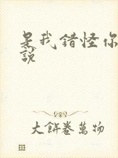 是我错怪你了小说