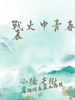 战火中青春演员表