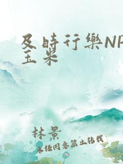 及时行乐NPH玉米