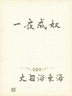 一夜成奴