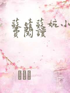 苏晴苏婉小说免费阅读