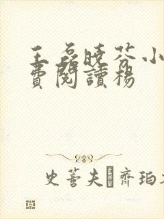 王磊晓芬小说免费阅读杨