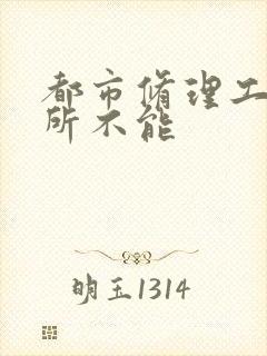 都市修理工之无所不能