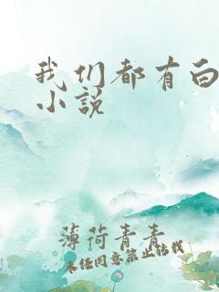 我们都有白月光小说