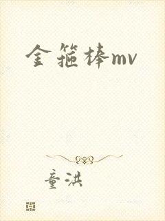 金箍棒mv