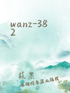wanz-382