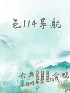 色114导航