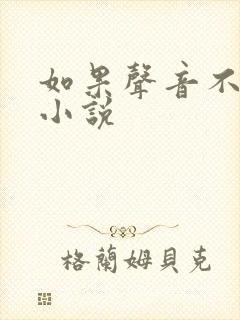 如果声音不记得小说