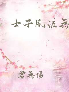 士子风流无弹窗