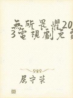 无所畏惧2023电视剧免费观看