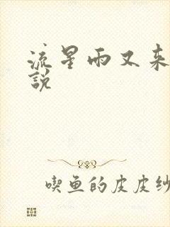 流星雨又来临小说