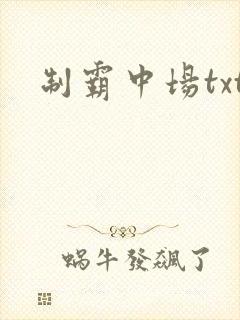 制霸中场txt