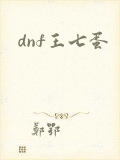 dnf王七蛋