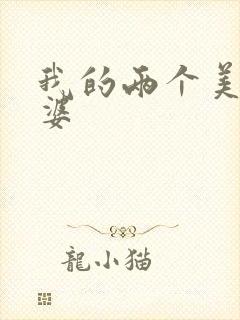 我的两个美女老婆