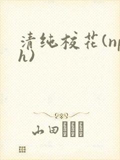 清纯校花(nph)