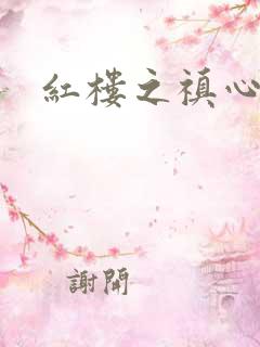 红楼之禛心锁玉