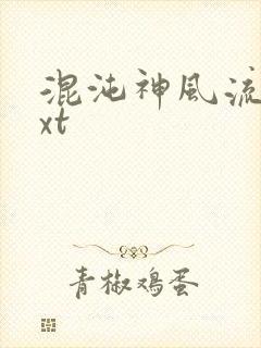 混沌神风流史txt