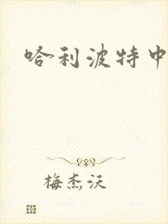 哈利波特中文版